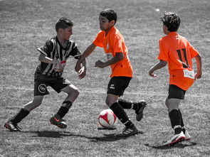 九游官网入口活动-NBA最佳新秀竞争激烈 三人数据旗鼓相当,nba最佳新秀含金量 第3张