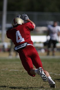 九游娱乐app下载-五大联赛球队助攻构成比例是否趋向边路主导,五大联赛历史进球助攻榜 第2张